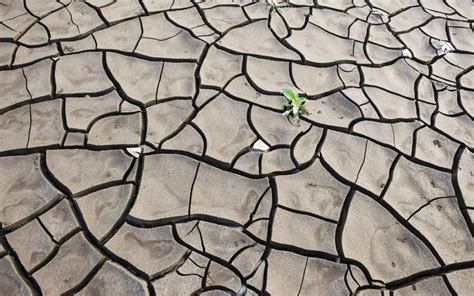 mudding gun Senegal|News spotlight: Traditional mud buildings could keep .